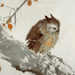 Shuho Ikegami Gallery